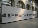 pohled do instalace, Ztišeno, Wannieck Gallery, Brno, 2011